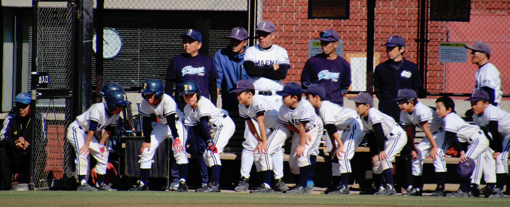 集合している写真